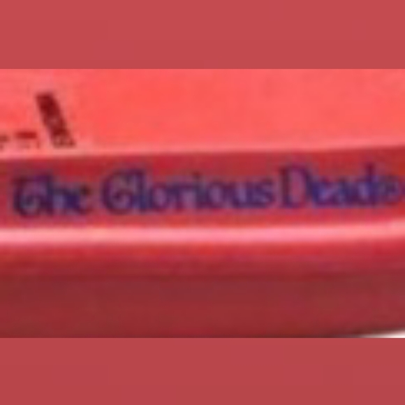 [SOLD] Flatbush Zombies Jupiter Sound Red Slide Sandals - Picture 13 of 15